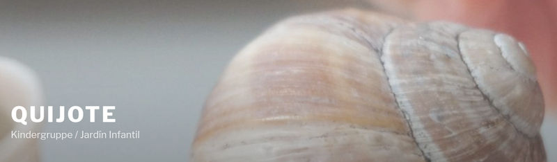 QUIJOTE Header